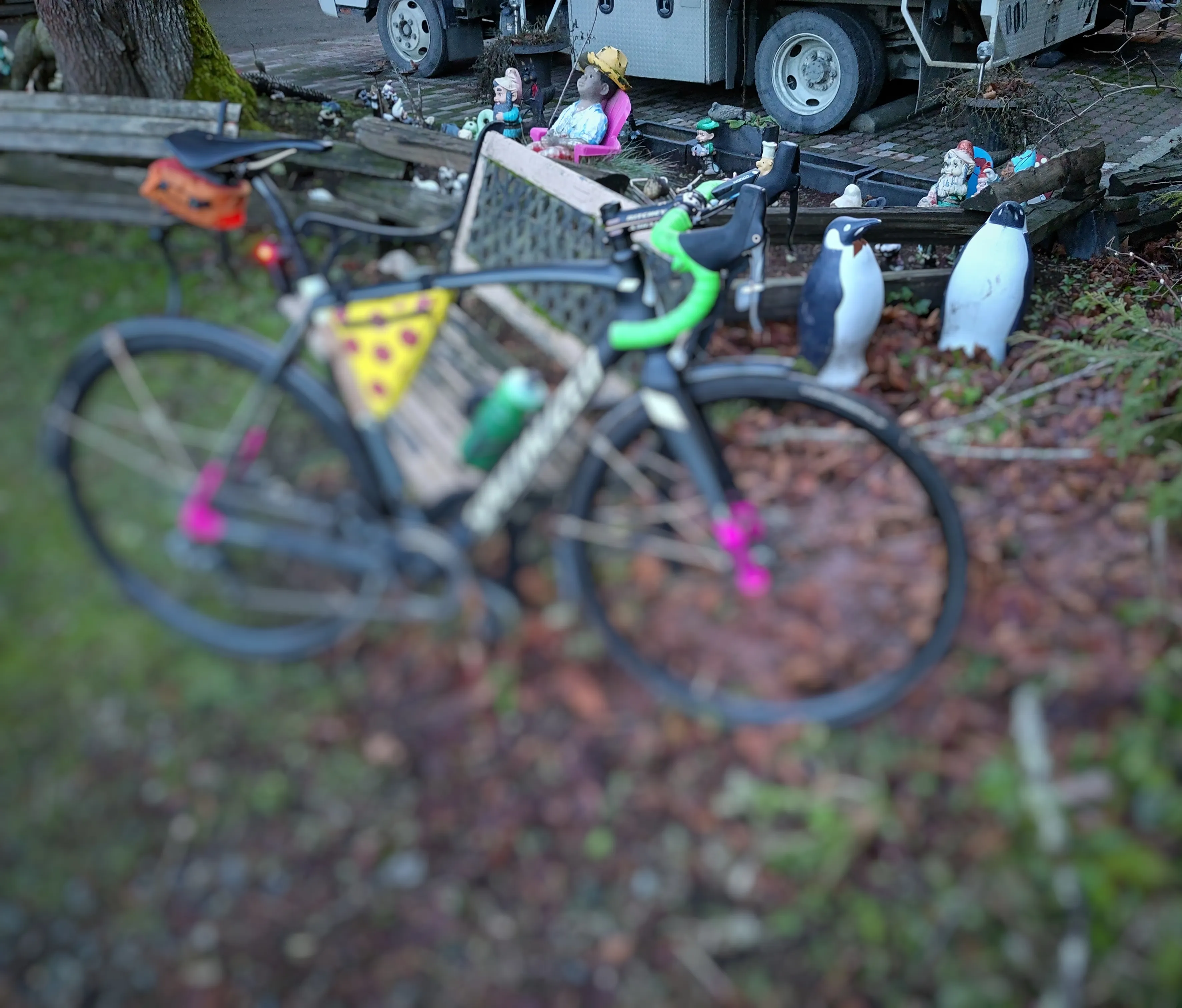 https://victoria-biketag.sfo3.cdn.digitaloceanspaces.com/main/victoria-tag-54--mystery.webp